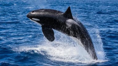 Special Member Picture