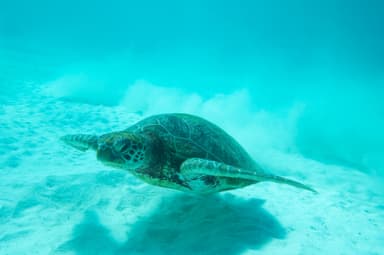 Special Member Picture