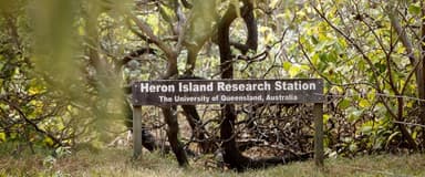 Special Member Picture