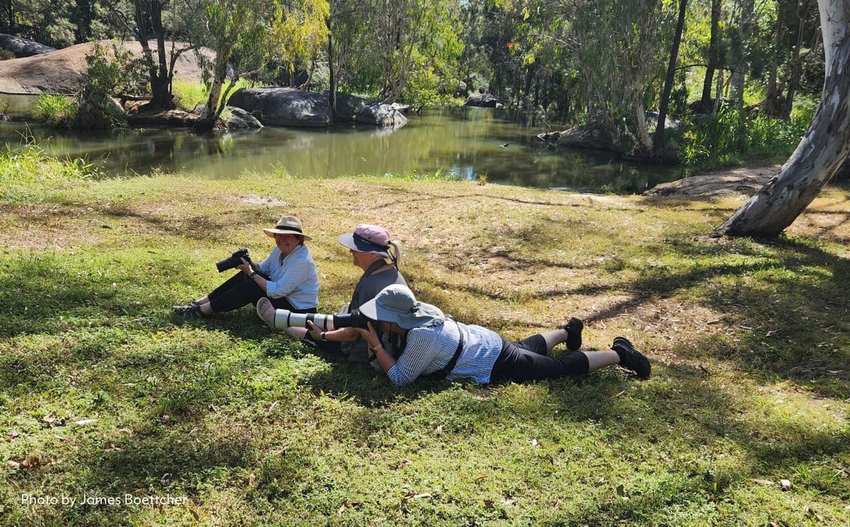 Tropical Birding in North Queensland