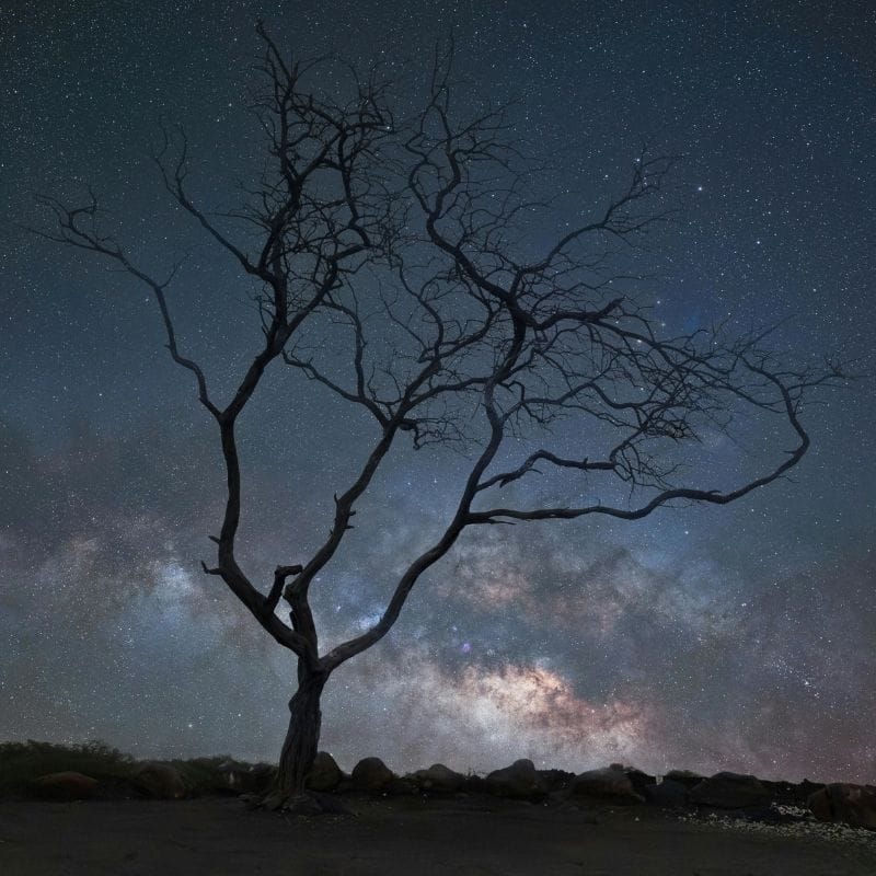 Arrival and First Night Photography