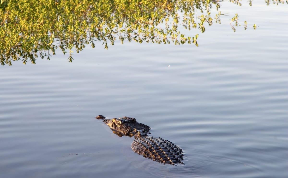 Kakadu and Litchfield Hiking Adventure