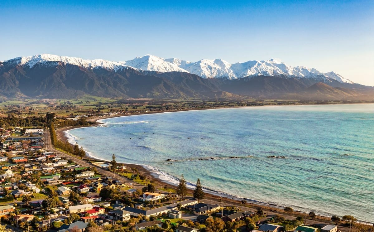 South Island Birding: Toroa to Kea