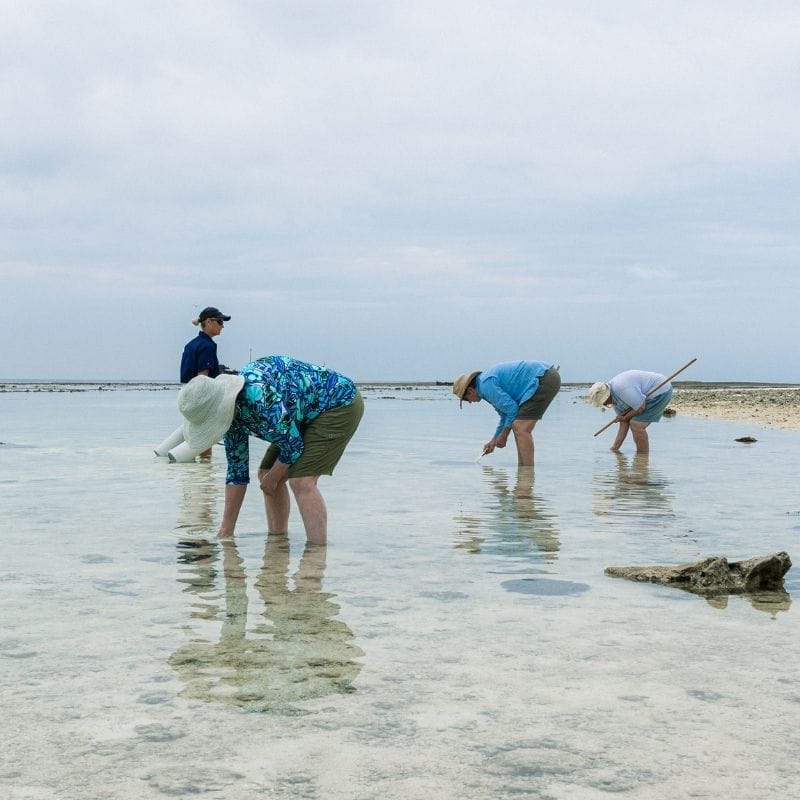 CoralWatch, Reef Walk and Turtle Nesting Walk