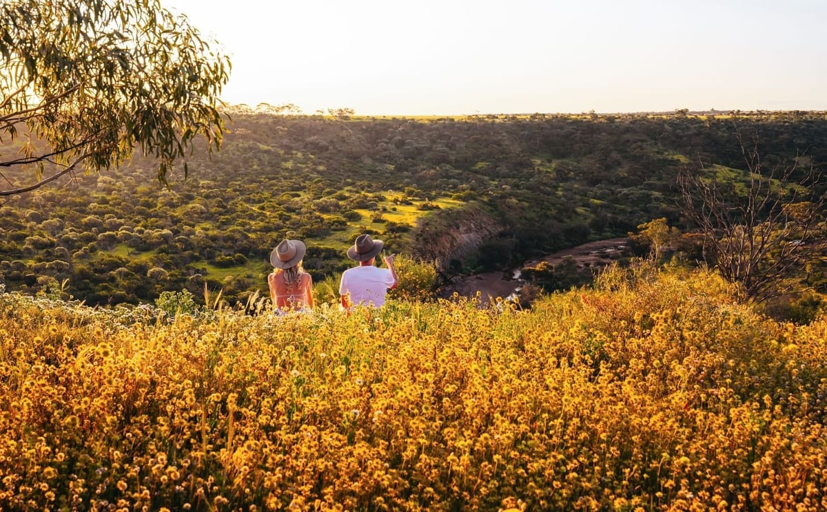 Wildflowers & Natural Wonders of the Mid West