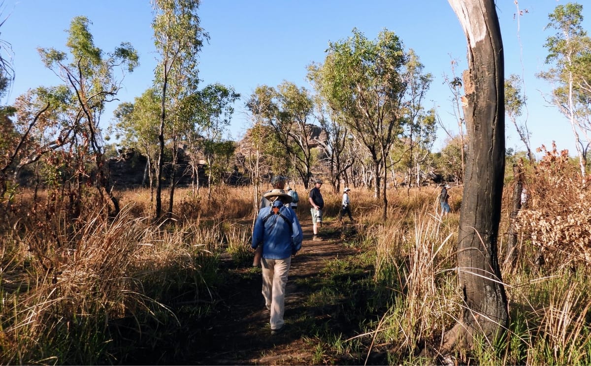Birdwatching Safari of Kakadu & Litchfield National Parks