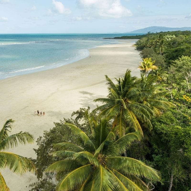 Cairns/Gimuy to Daintree Rainforest/Kaba Kada & Cape Tribulation