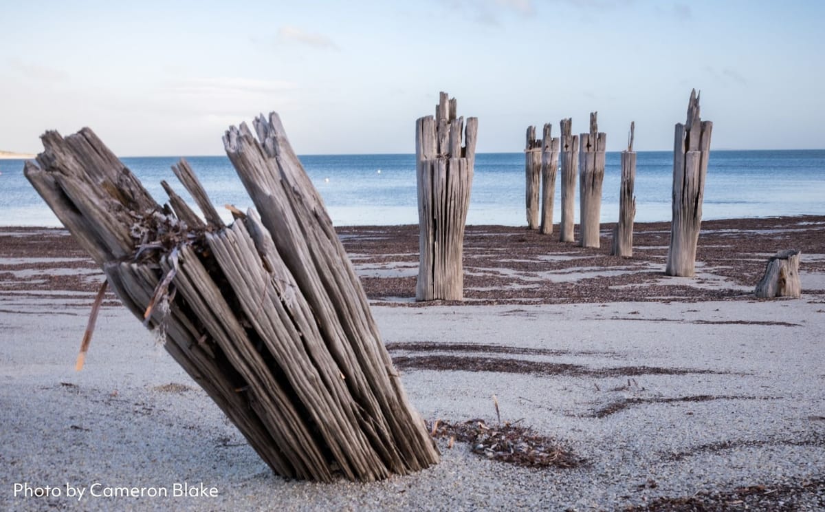 Flinders Island Photography Workshop
