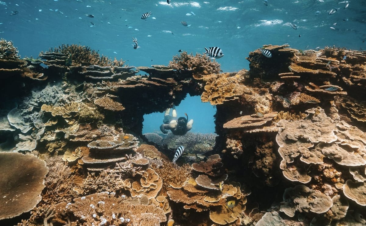 The Blowhole at Lady Elliot Island