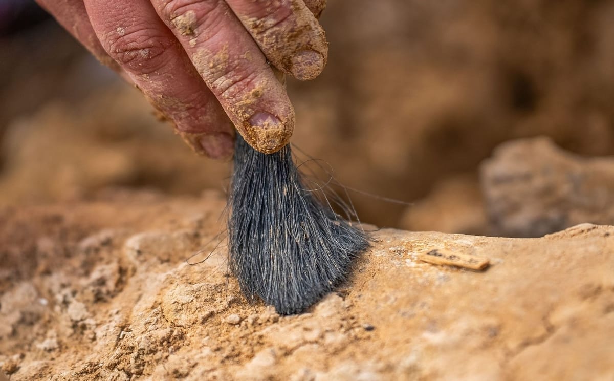 Clearing away dirt from an uncovered fossil 