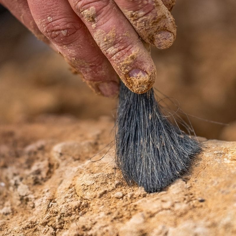 Full day on the dig and property excursion