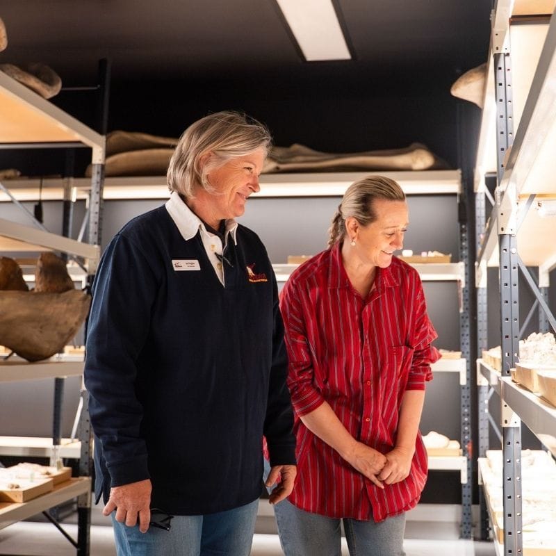 Museum tour and preparation lab