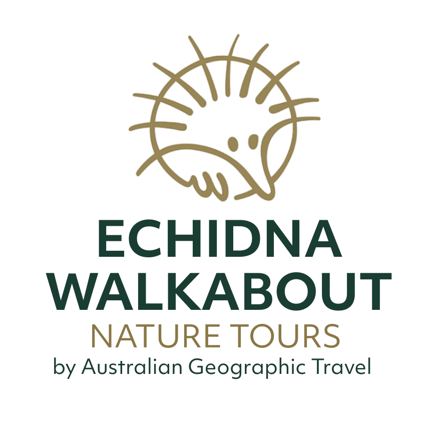 Echidna Walkabout 