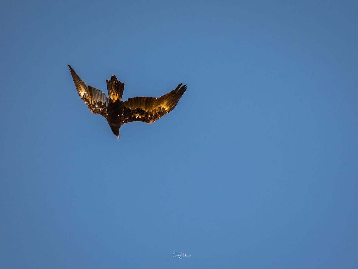 Flinders Ranges Photography Safari