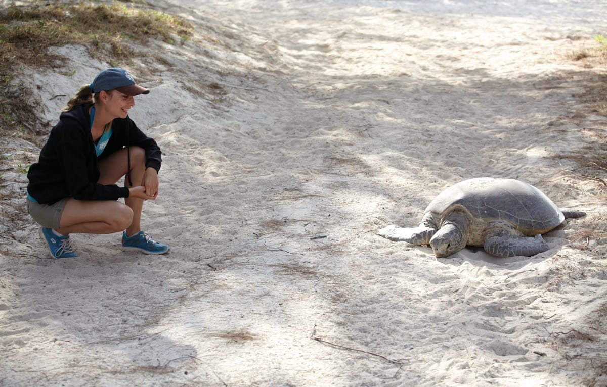 Wilson Island — Full Island Immersion