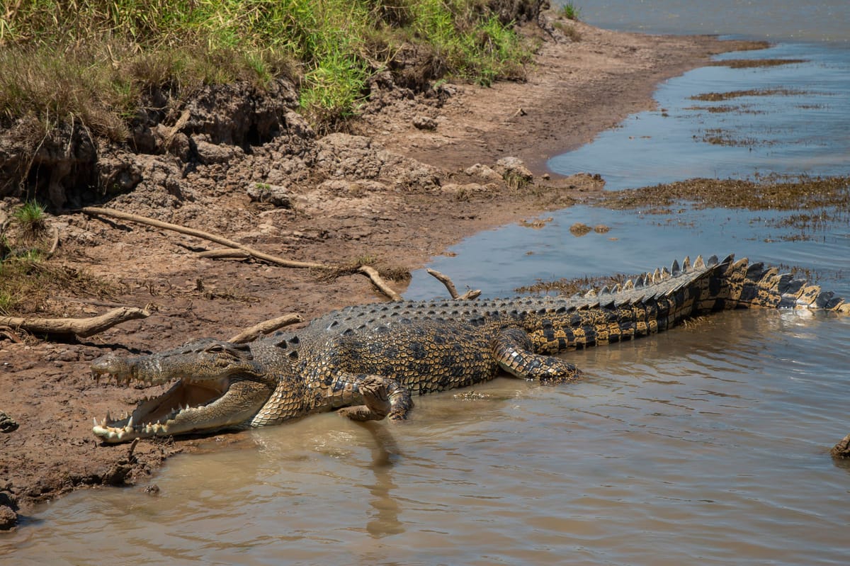 Northern Territory