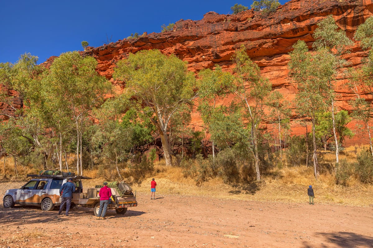 Western Desert Art 4WD Explorer