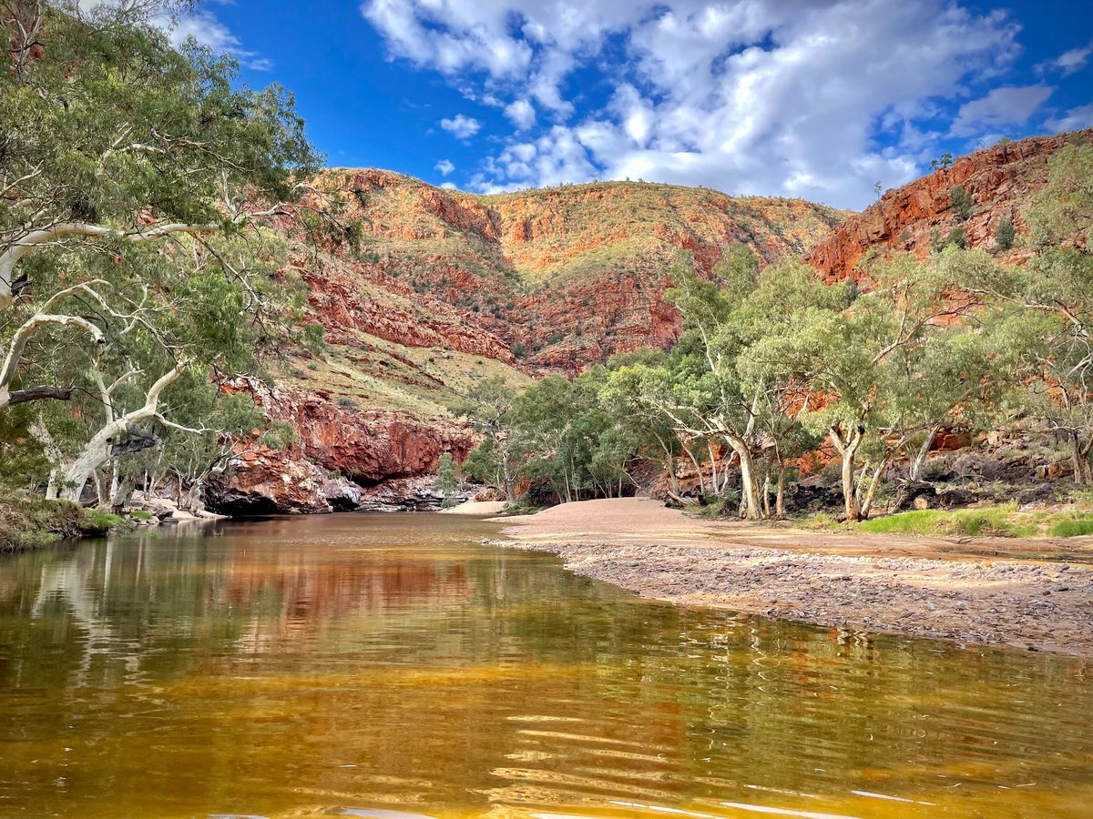 Western Desert Art 4WD Explorer