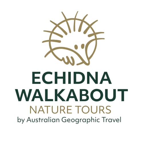 Echidna Walkabout 