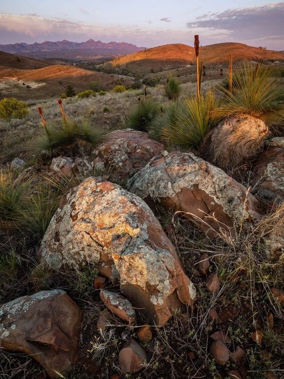 Flinders Ranges Photography Safari