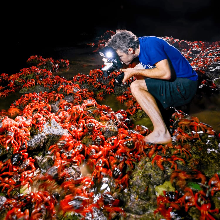Christmas Island – Bird & Nature Week