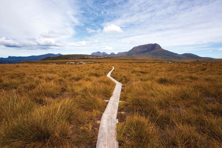 Cradle Mountain Huts Autumn Botany Walk, Tasmania