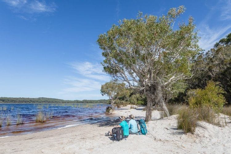 The Best of the K’gari (Fraser Island) Great Walk – K’gari, Queensland
