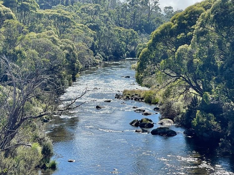 Exploring Snowy River country with Trisha Dixon, NSW