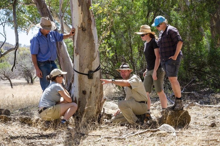 Wildlife monitoring
