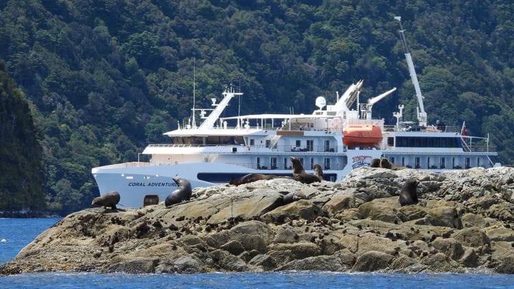 Expedition Cruise - World Heritage Islands Of The Sub-Antarctic
