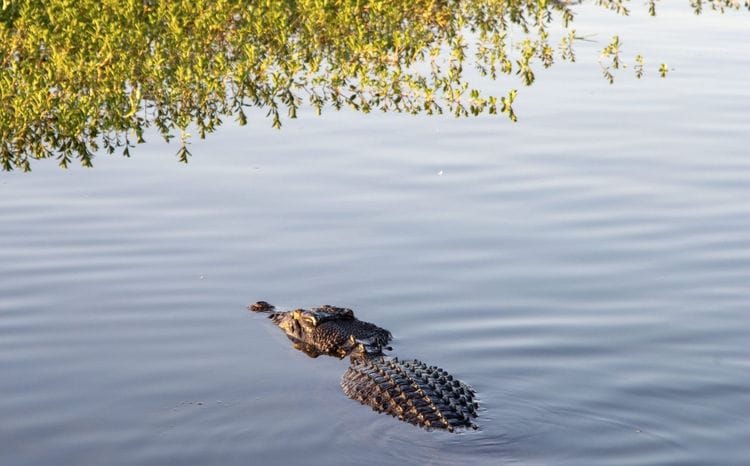 Kakadu and Litchfield Hiking Adventure