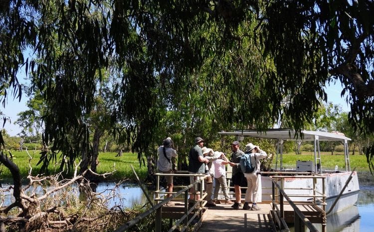 Birdwatching Safari of Kakadu & Litchfield National Parks