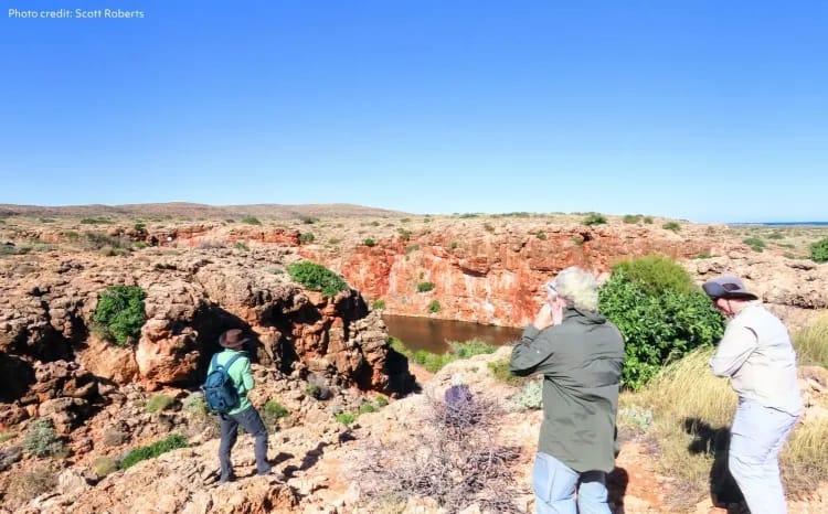 Whale Sharks & Ningaloo Coast Wildlife
