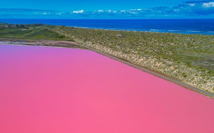 Wildflowers & Natural Wonders of the Mid West