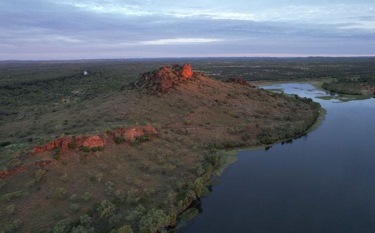 Birds of Channel Country Outback Safari