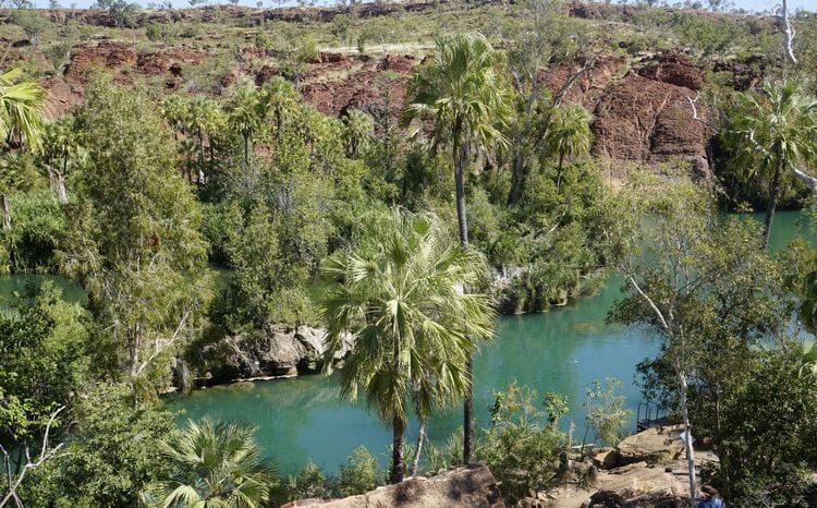 The emerald waters and lush vegetation of Lawn Hill Gorge form a beautiful oasis in the outback