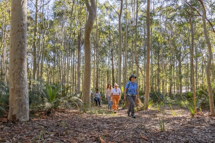 PRIVATE Sydney to Melbourne Nature & Wildlife Adventure