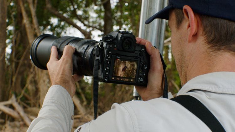 Wildlife Photography Safari in Far North Queensland