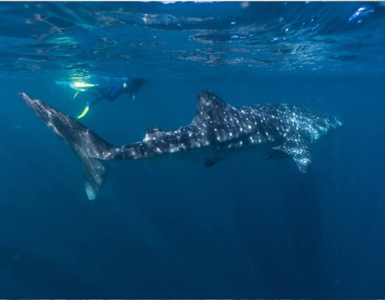 Western Australia