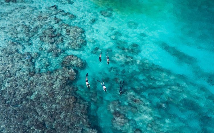 Snorkelling off Christmas Island