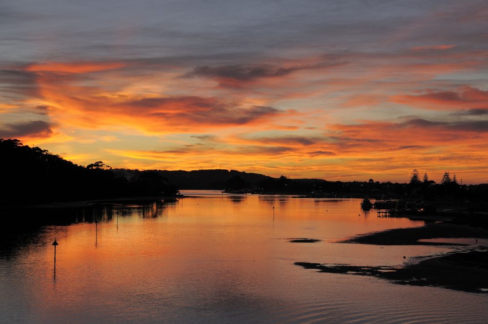 Private Tour: Sydney to Melbourne Nature & Wildlife Adventure