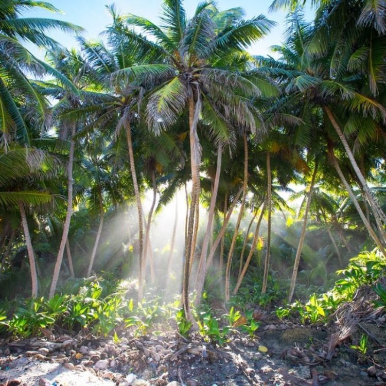 Welcome to Christmas Island