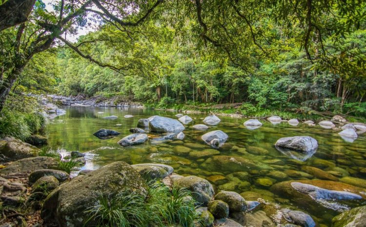 Mossman Gorge in the Daintree National Park, QLD