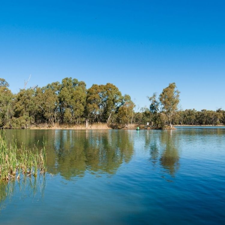 Wentworth, the Murray-Darling junction and Mildura