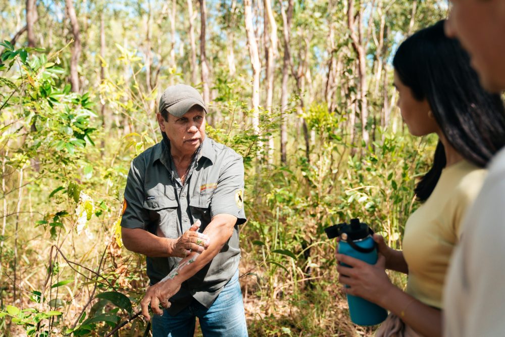 Cooktown to the Daintree: On Country with Traditional Owners