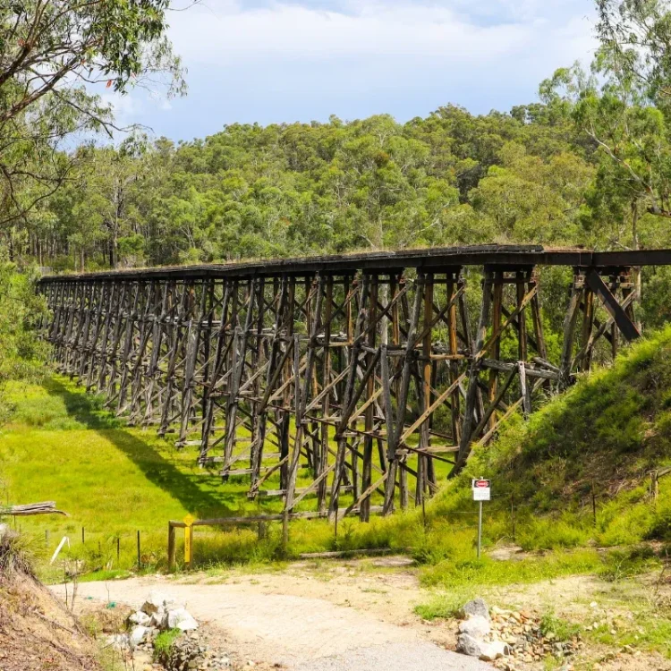 <strong>Trestle bridge, bat colony and Krowathunkooloong Keeping Place</strong>