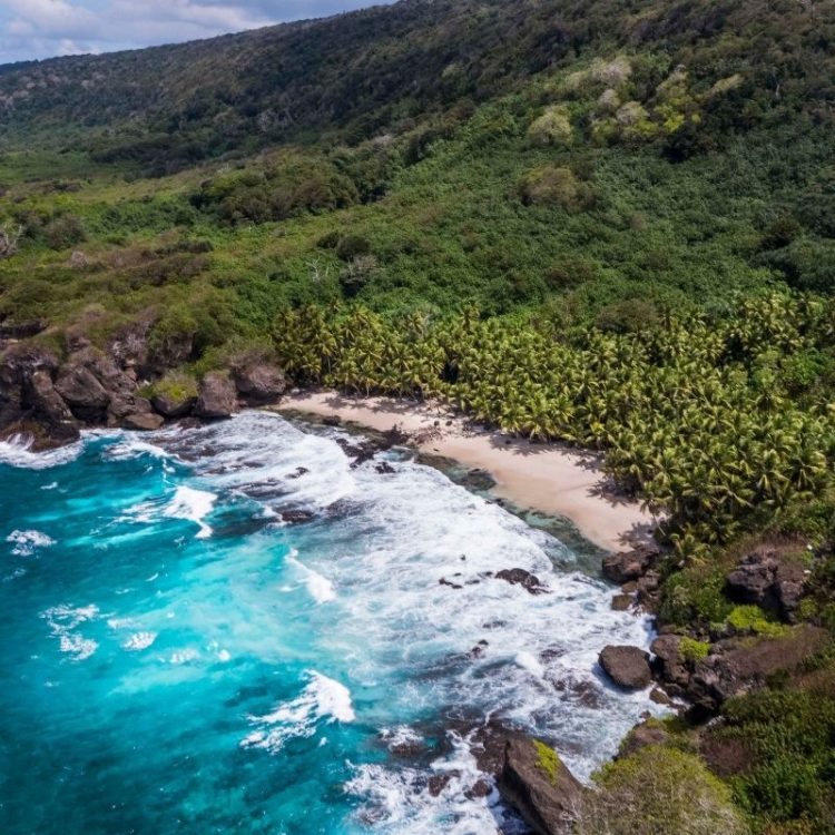 Dolly Beach, turtle tracks and conservation