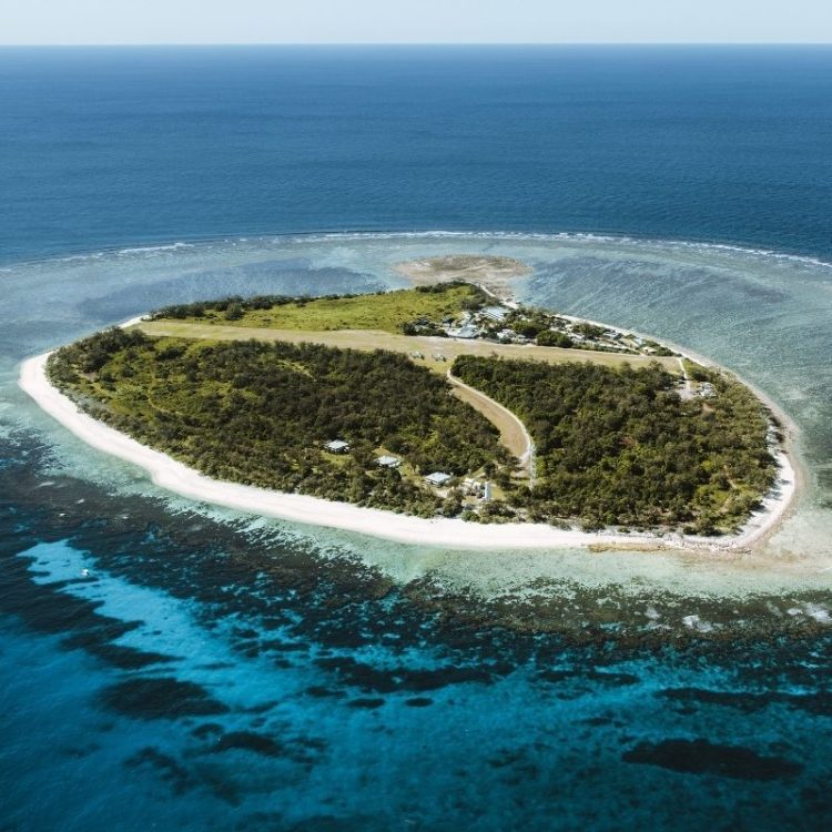 Farewell Lady Elliot Island