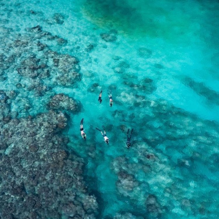 Direction Island, snorkelling and sunset dinner