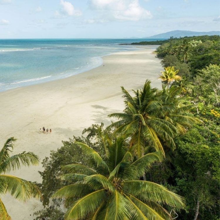 <strong><strong>Daintree Rainforest to Cairns</strong></strong>